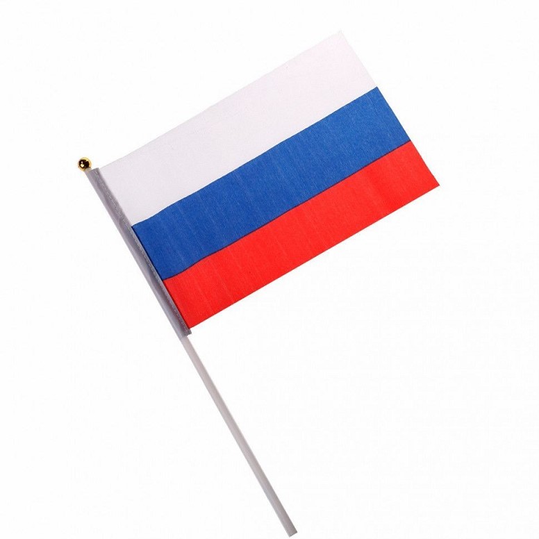 Флаг России 20х30см