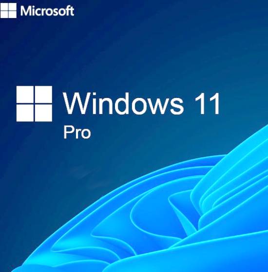 Программное обеспечение: Microsoft Windows 11 Pro (конверт) OEM